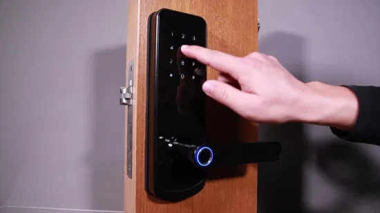 Biometric locks with video door phone